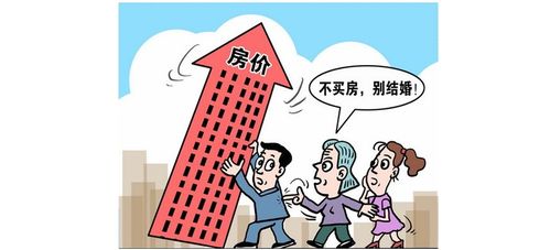 男朋友买不起房子父母不同意怎么办