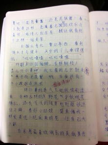 哄女朋友的小作文200字