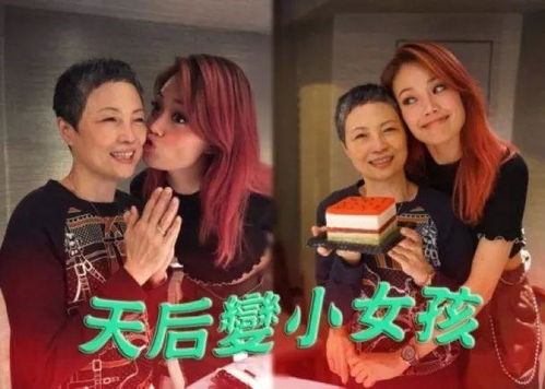 分手后全娱乐圈都在盼我糊