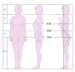 女生腰围臀围对照表