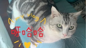 抓不住爱情的我是什么歌