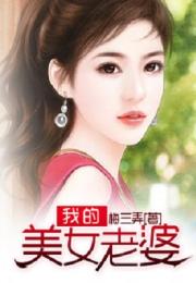 我的美女老婆全文阅读