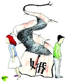 新婚姻法关于离婚条款
