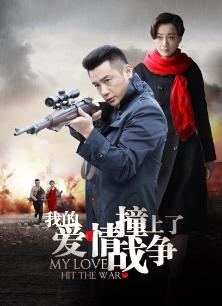 我的爱情撞上战争电视剧在线播放