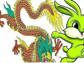 属龙和属兔的婚姻相配吗