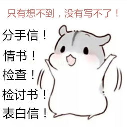 表白信给女生