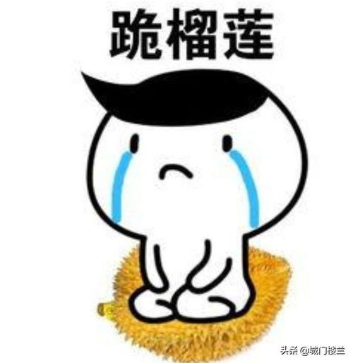 跟女生道歉的话