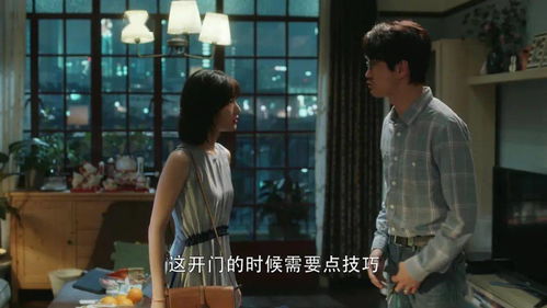 男人出轨的电视剧