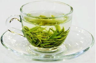 男主是小三有心机绿茶po