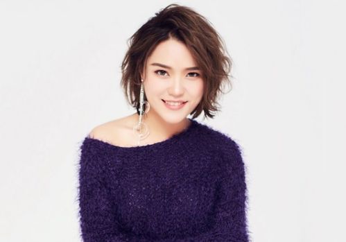 你说你不会在爱情里犯错什么歌