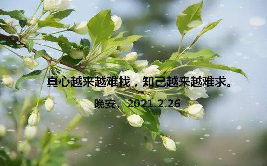 断联会让爱情变淡吗