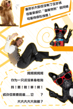 大学没对象就真的没对象了吗