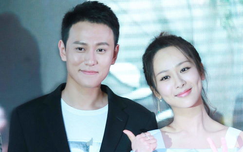杨紫前任