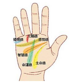 女人怎么看手相图解