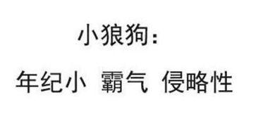男朋友是个小狼狗是什么体验