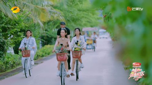 妻子的浪漫旅行4