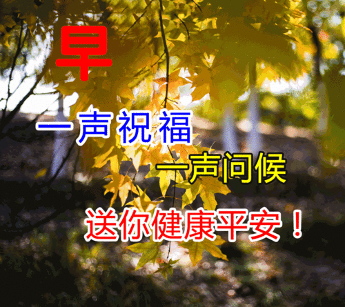 早上给女朋友发早安的句子