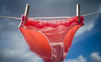 女人内裤上有白色分泌物是怎么回事