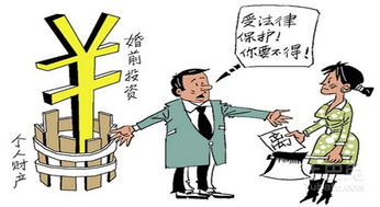 婚姻法夫妻共同财产规定