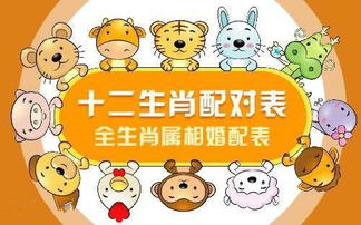 婚姻匹配属相