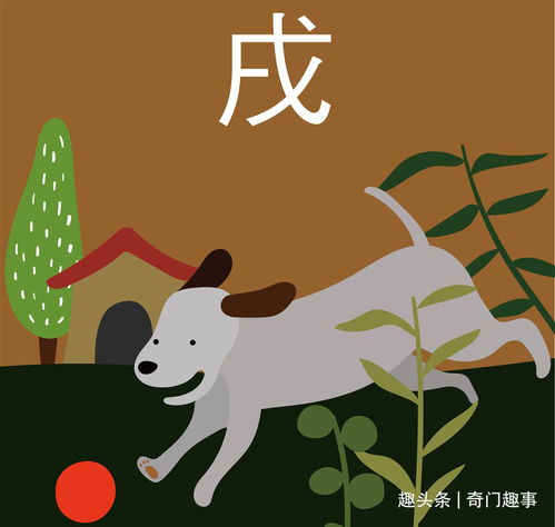 属兔和属虎的婚姻相配吗