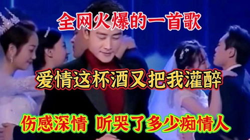爱情这杯酒又把我灌醉DJ