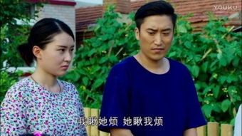 乡村爱情第二部央视网
