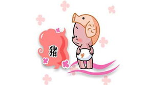 属猪今年婚姻运势如何