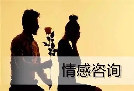 婚姻情感咨询机构