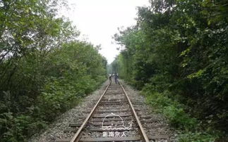 爱情隧道