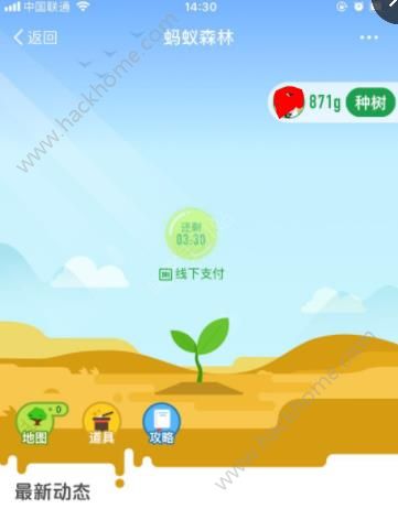 一起种爱情树取名