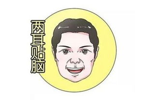 智商高的女人外貌特征
