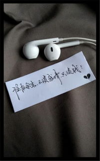 只谈钱不谈感情的句子