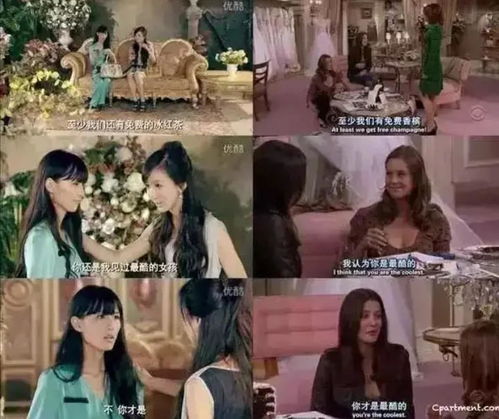 爱情公寓5收视率多吓人