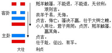 大壮卦看对方的态度感情