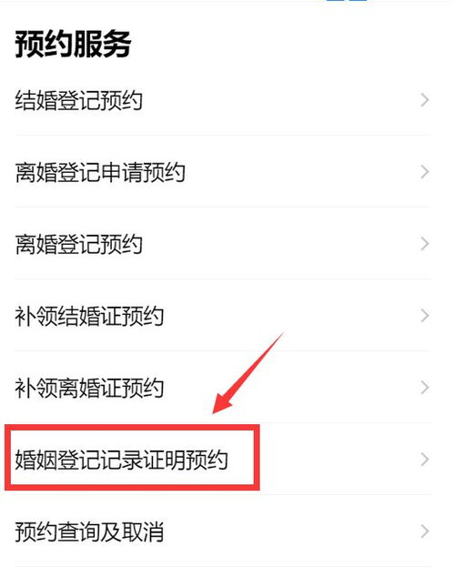 婚姻登记记录查询