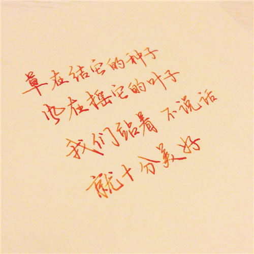 简短表白情书
