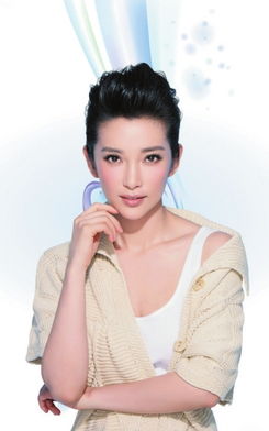 李冰冰现任老公简历