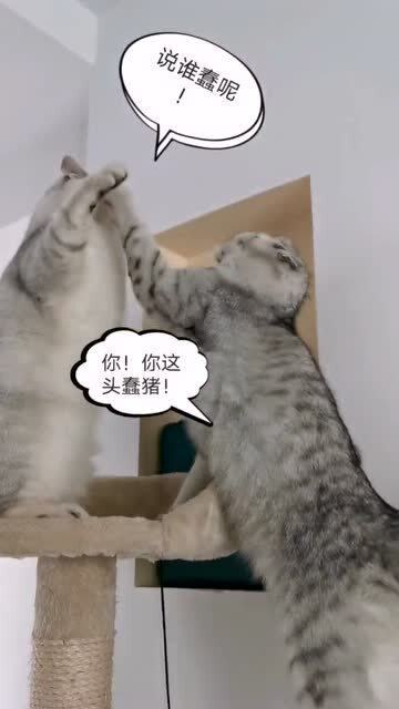 老公凶我该怎么对付他
