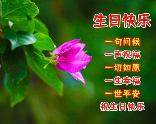 祝福朋友找到对象的句子