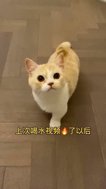 男朋友为什么像个sb