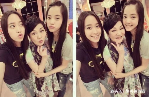 表达亲姐妹感情歌曲