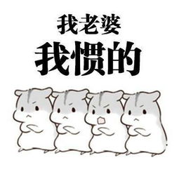 我老婆是