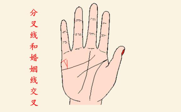 婚姻线有分叉代表什么