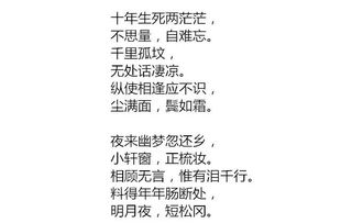 讲爱情的诗句