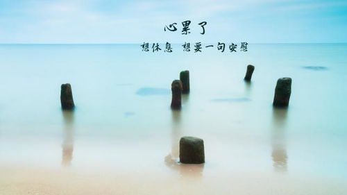 心累了的感情句子