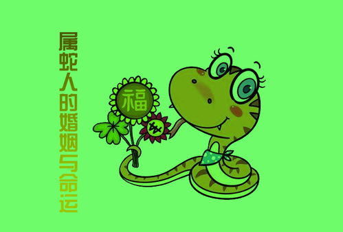 属兔的婚姻和命运