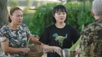 乡村爱情之