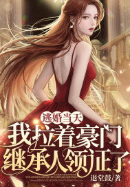 豪门继承人拉着我领证小说