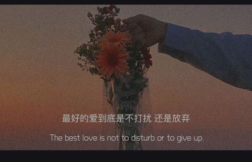 女人伤到极致的句子